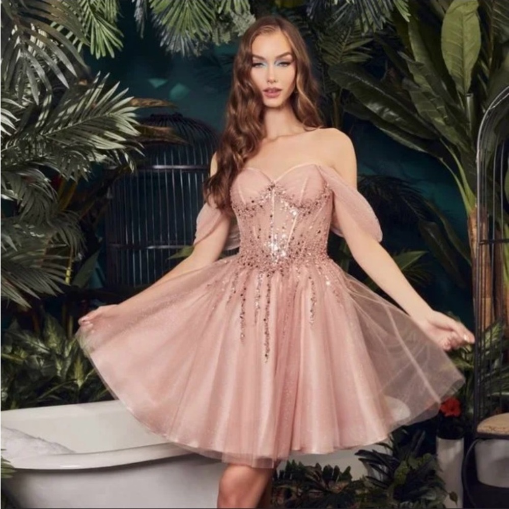 Elegant Peach Sequin Dress